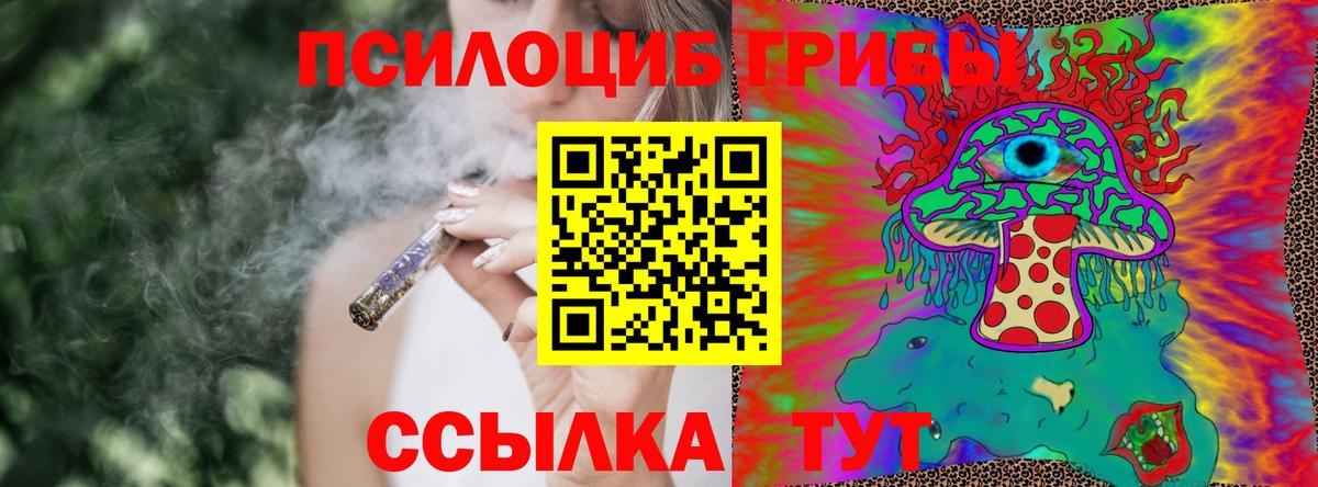 Псилоцибиновые грибы прущие грибы Нарткала